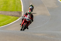 PJ-Motorsport-Photography-2020;anglesey;brands-hatch;cadwell-park;croft;donington-park;enduro-digital-images;event-digital-images;eventdigitalimages;mallory;no-limits;oulton-park;peter-wileman-photography;racing-digital-images;silverstone;snetterton;trackday-digital-images;trackday-photos;vmcc-banbury-run;welsh-2-day-enduro
